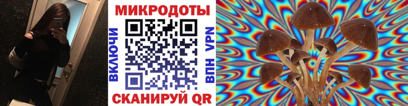 Галлюциногенные грибы Psilocybine cubensis Александровское