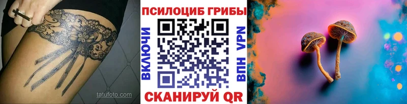 что такое   Александровское  Псилоцибиновые грибы Psilocybine cubensis 
