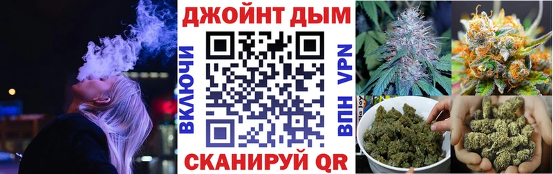 где можно купить   Александровское  Конопля тримм 